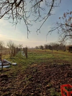 Casa Paulian, 52.000 euro - imagine 10