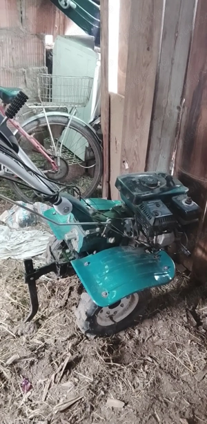 De vânzare preț negociabil 300 euro