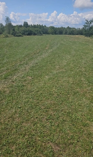 Teren intravilan 2000 m  Obreja - CS