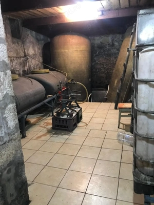 Vand casa 5 camere - imagine 4