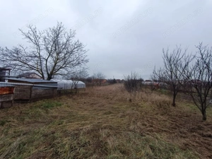 Casă cu teren generos 1.305 mp | Curtici – Arad - imagine 8