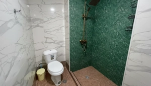 2 camere zona Mihai Bravu - imagine 6