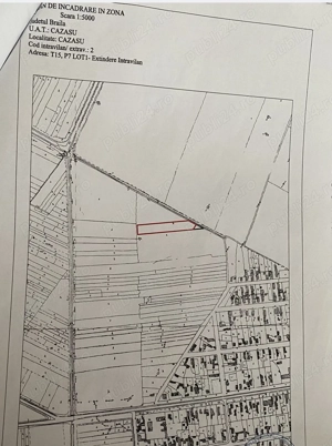 Teren intravilan Cazasu 4900 mp + 250 mp bonus - imagine 3