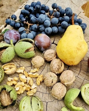 Casă de Vânzare 2000 mp  - imagine 5