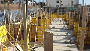 Angajăm Dulgheri si Fierari in constructii - imagine 3