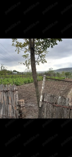 teren loc casă  - imagine 2