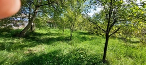 Gospodarie   Zona Francesti   Valcea   - imagine 7