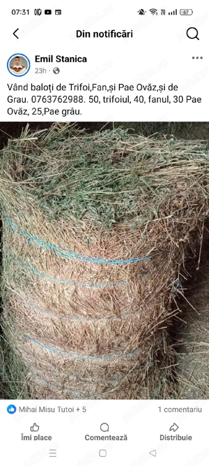 Vand baloti de Lucerna, Fan, Pae Ovăz, si Pae de Grau. - imagine 5