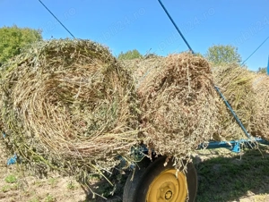 Vand baloti de Lucerna, Fan, Pae Ovăz, si Pae de Grau.