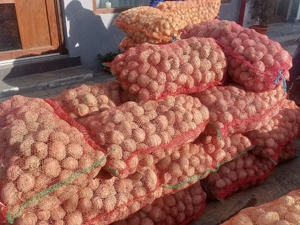 cartofi de sămânță și de consum.  - imagine 4