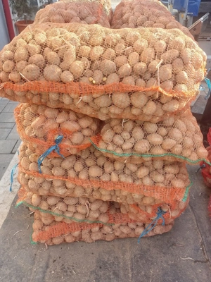 cartofi de sămânță și de consum.  - imagine 5