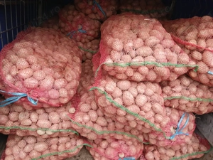 cartofi de sămânță și de consum.  - imagine 2