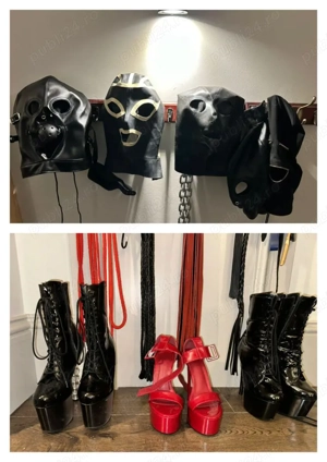 Stăpâna melisa - imagine 3