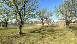 Teren cu dubla-deschidere, Paleu, 1000mp