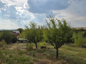 Teren 750mp Carcea, utilitati la poarta - imagine 5