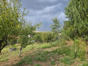 Teren 750mp Carcea, utilitati la poarta - imagine 4