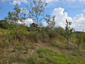 Teren 750mp Carcea, utilitati la poarta - imagine 3