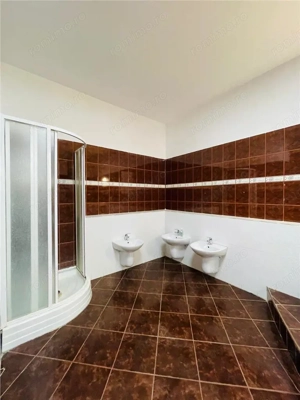 INCHIRIERE ANSAMBLU CASE VILE INDIVIDUALE IN ZONA  PRELUNGIREA GHENCEA SECTOR 5 - imagine 20