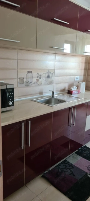 Apartament 2 camere strada Tineretului,  - imagine 3