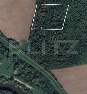 Pădure 10.000 mp Șag – front stradal 100 m, zonă în dezvoltare