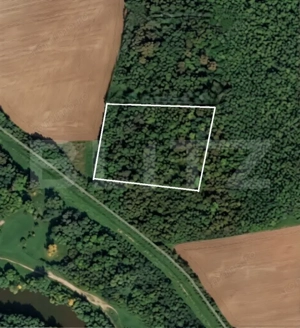 Parcelă 10.000 mp la liziera pădurii, Șag – front stradal 40m