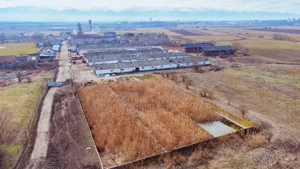 Ferma activa Fagaras Brasov cu teren pretabil dezvolatator imobiliar de peste 72500 mp - imagine 6