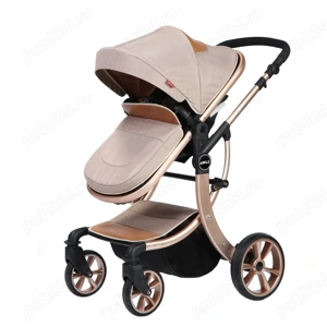 Carucior Visoli 2 in 1 Gold