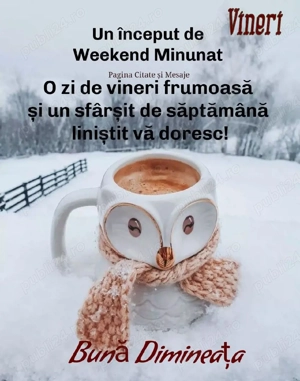 fac menaj part-time în Târgoviște  - imagine 2