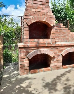 vând și montez piatră plante ornamentale amenajăm spații verzi