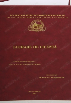 Consultanță lucrări de licență 
