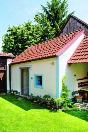 executăm acoperișul la cererea clientului  - imagine 5