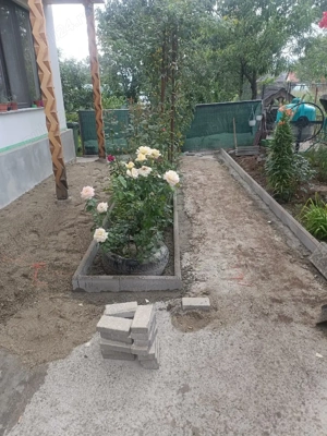 Noi Pavăm  - imagine 5