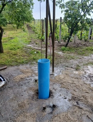 Foraje puturi!! - imagine 3