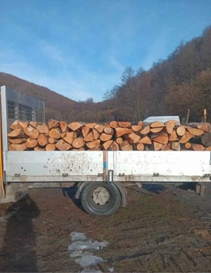 Vand lemne pentru foc fag