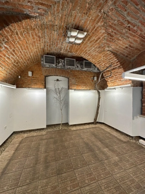 Spatiu comercial în Piața Unirii - 155 mp - imagine 16