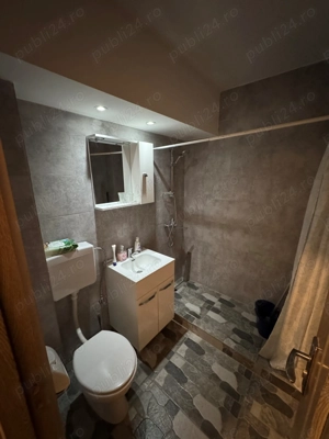 Apartament 2 camere str. Dr. I. Ratiu - imagine 9