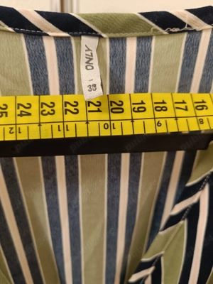 Salopeta eleganta  - imagine 3