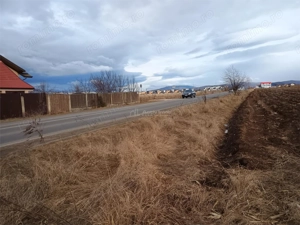 Teren 9000 mp Sacele Izvor, front 356 m la DJ 103A - imagine 3