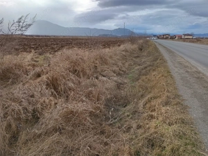 Teren 9000 mp Sacele Izvor, front 356 m la DJ 103A - imagine 2