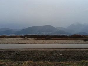 Teren 9000 mp Sacele Izvor, front 356 m la DJ 103A - imagine 6