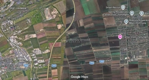 Teren 9000 mp Sacele Izvor, front 356 m la DJ 103A - imagine 12