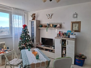 Panoramic Spațios IOR Baba Novac Câmpia Libertății