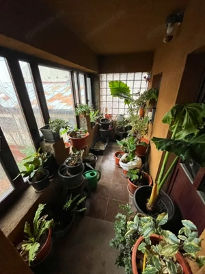 Casă 300 mp utili, Malu Roșu, Ploiești - imagine 5