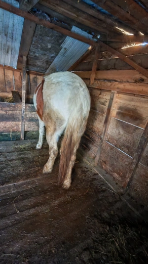 D e   v â  n z a r e - imagine 2