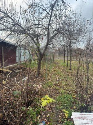 Casa  zona Freidorf - imagine 2