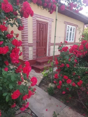 Casa comuna Gheorghe Doja, Ialomita - imagine 7