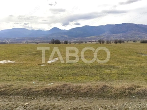 Teren intravilan 10000 mp cu acces din DN 1 - COMISION 0  - imagine 4