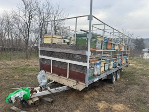 2 Remorci Apicole Stare Foarte Buna 32 48 Stupi Transport si Suparit - imagine 3