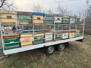 2 Remorci Apicole Stare Foarte Buna 32 48 Stupi Transport si Suparit