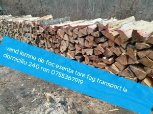 vand lemne de foc esenta tare fag transport la domiciliu 